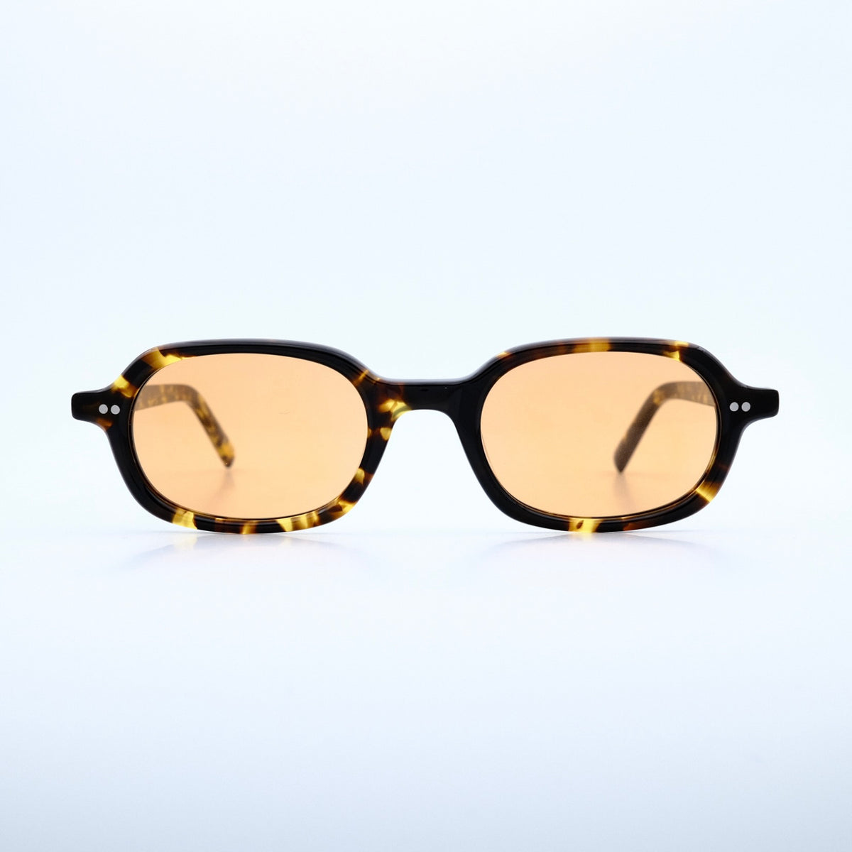 No.58 tortoise