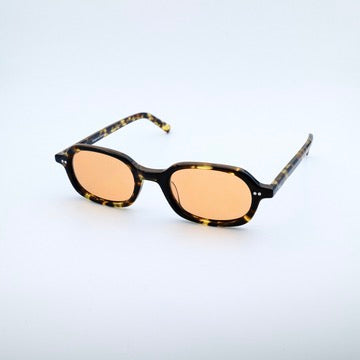 No.58 tortoise